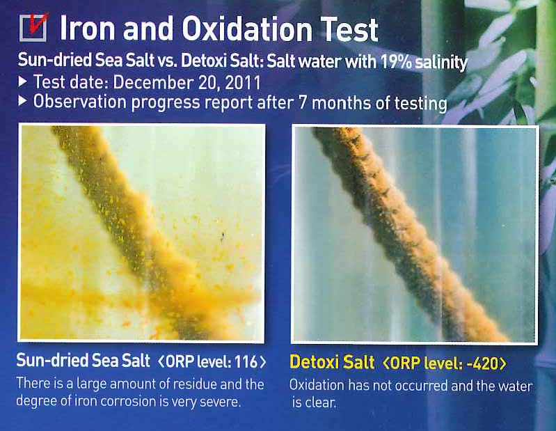 iron and oxidation test